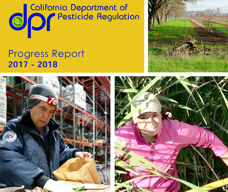 DPR Progress Report 2017-18