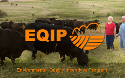 Farmers and Ranchers Encouraged to Submit Applications for Federal Conservation Assistance