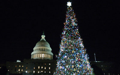 ‘The People’s Tree’ Lights up the Capitol