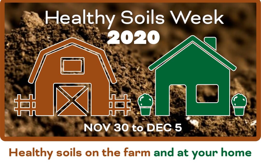 Get Ready for California Healthy Soils Week, Nov 30 – Dec 5