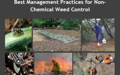 Best Management Practices for Non-Chemical Weed Control Manual and Online Decision Support Tool are Available!